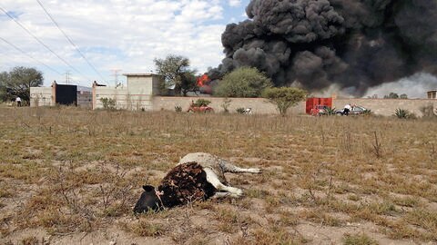 Atienden incendio en Santa Cruz Nieto, en SJR
