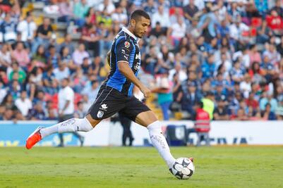 Los Gallos, listos para alzar vuelo