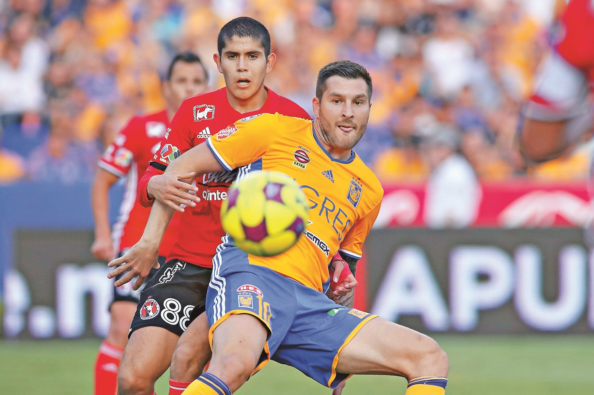 El campeón Tigres irá contra Xolos