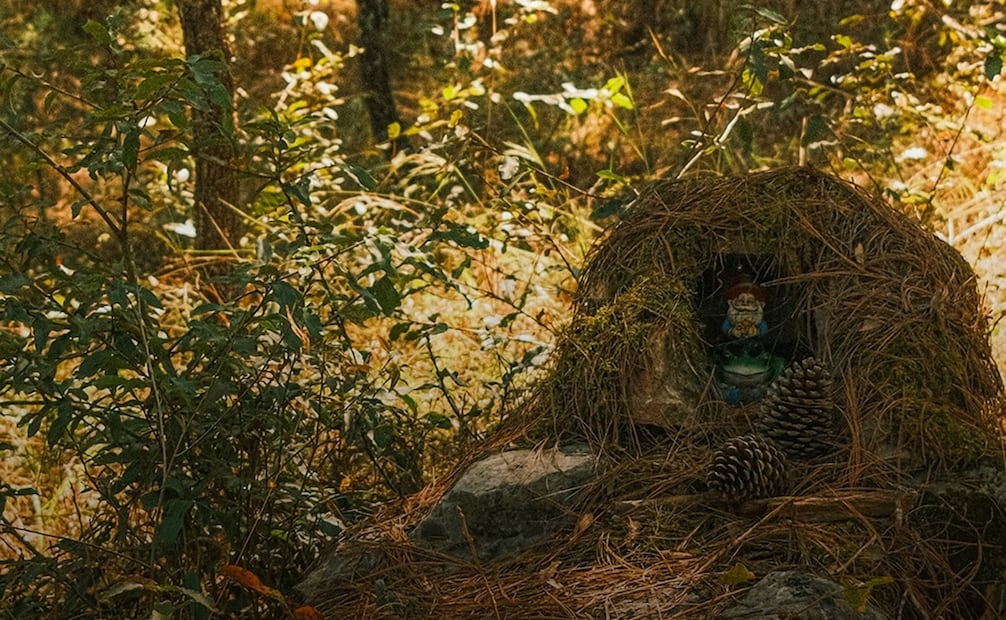 Bosque de los Duendes en San Joaquín, Quuerétaro. Foto: Fb@ Querétaro.Travel