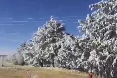 Azotan las bajas temperaturas a gran parte del país