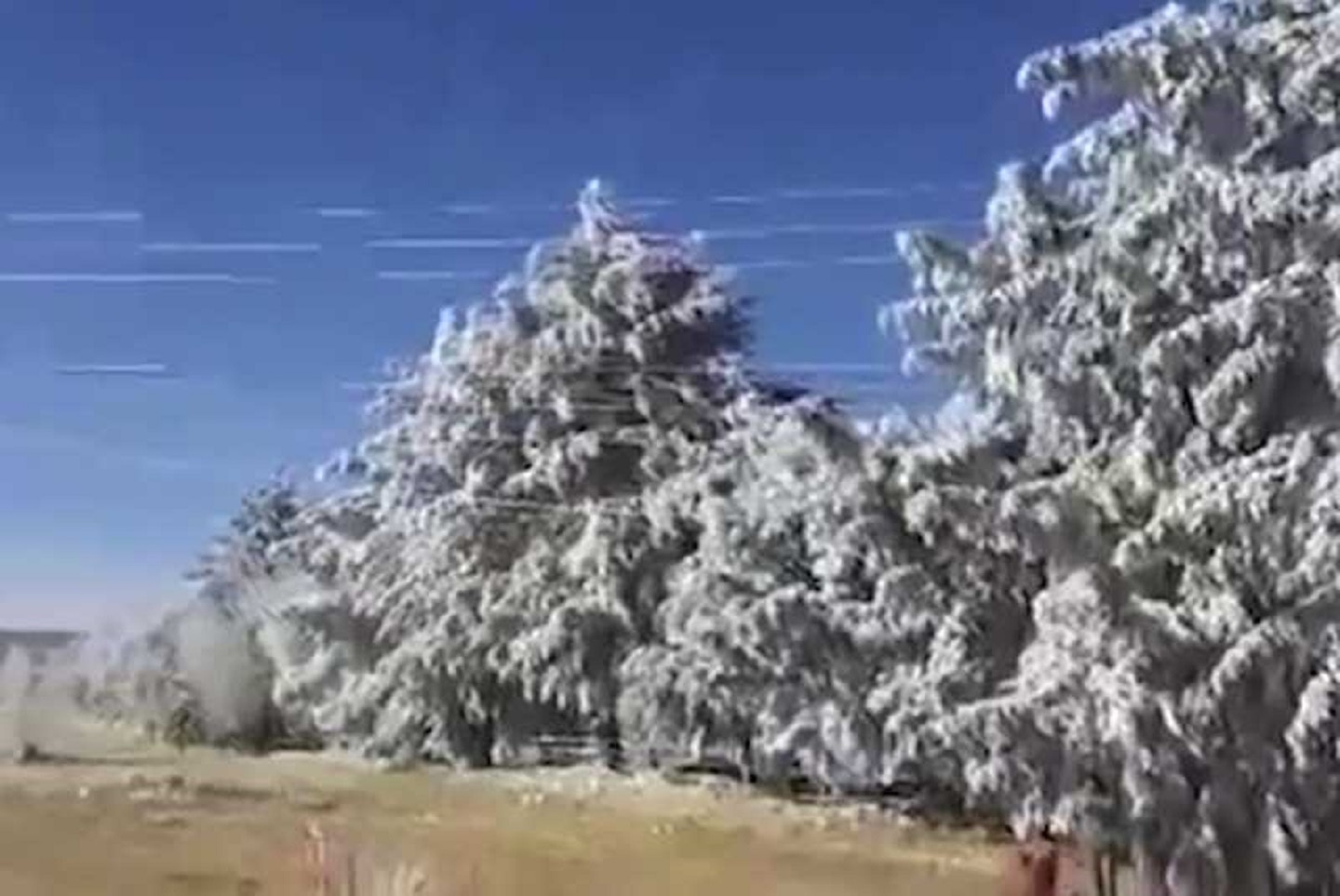 Azotan las bajas temperaturas a gran parte del país
