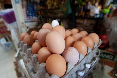 Adiós huevito revuelto. En Querétaro sube el precio del blanquillo  