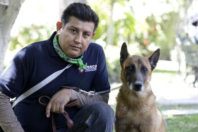 Perros policías, abandono disfrazado de jubilación