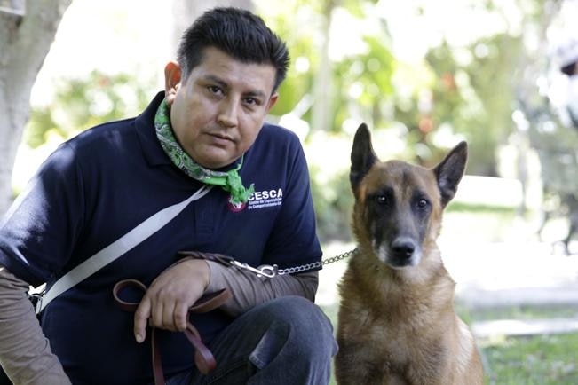 Perros policías, abandono disfrazado de jubilación