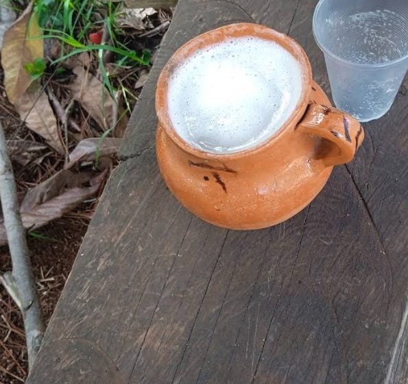 Pulque de El Pinalito. Foto: David Santiago