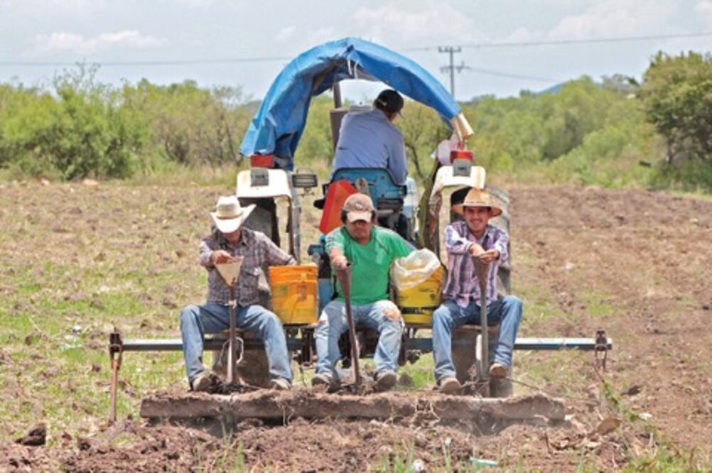 Invertirá Huimilpan 1.5 mdp en el agro