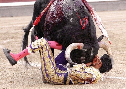 Flores, fuera de peligro tras cornada