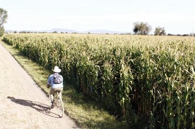 Desarrollo Rural: será un buen año agrícola 
