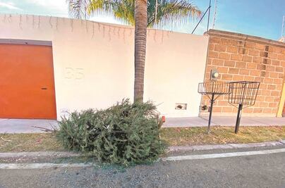 No abandones el arbolito de Navidad en la calle; llama al 070 para que pasen a recogerlo