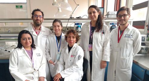 UNAM Juriquilla. Investigadores desarrollan biocombustible para no contaminar