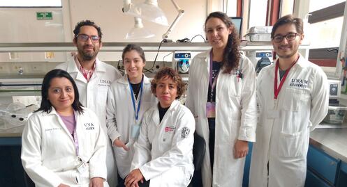 UNAM Juriquilla. Investigadores desarrollan biocombustible para no contaminar