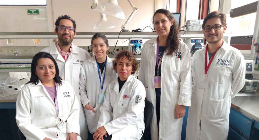 UNAM Juriquilla. Investigadores desarrollan biocombustible para no contaminar