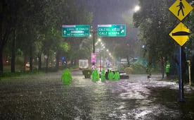 Lluvias de anoche dejaron 92 árboles caídos en CDMX