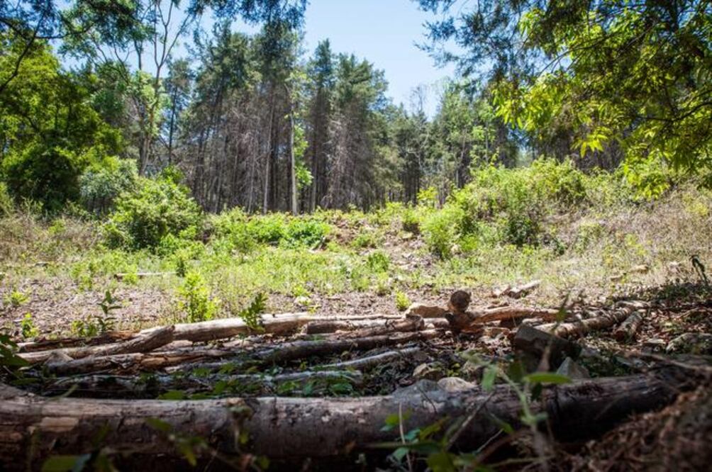 Autoridades reconocen que hay varias empresas que violan derechos humanos, sobre todo, en cuestión de apropiación de terrenos y daños al medio ambiente. (RICARDO LUGO. EL UNIVERSAL)