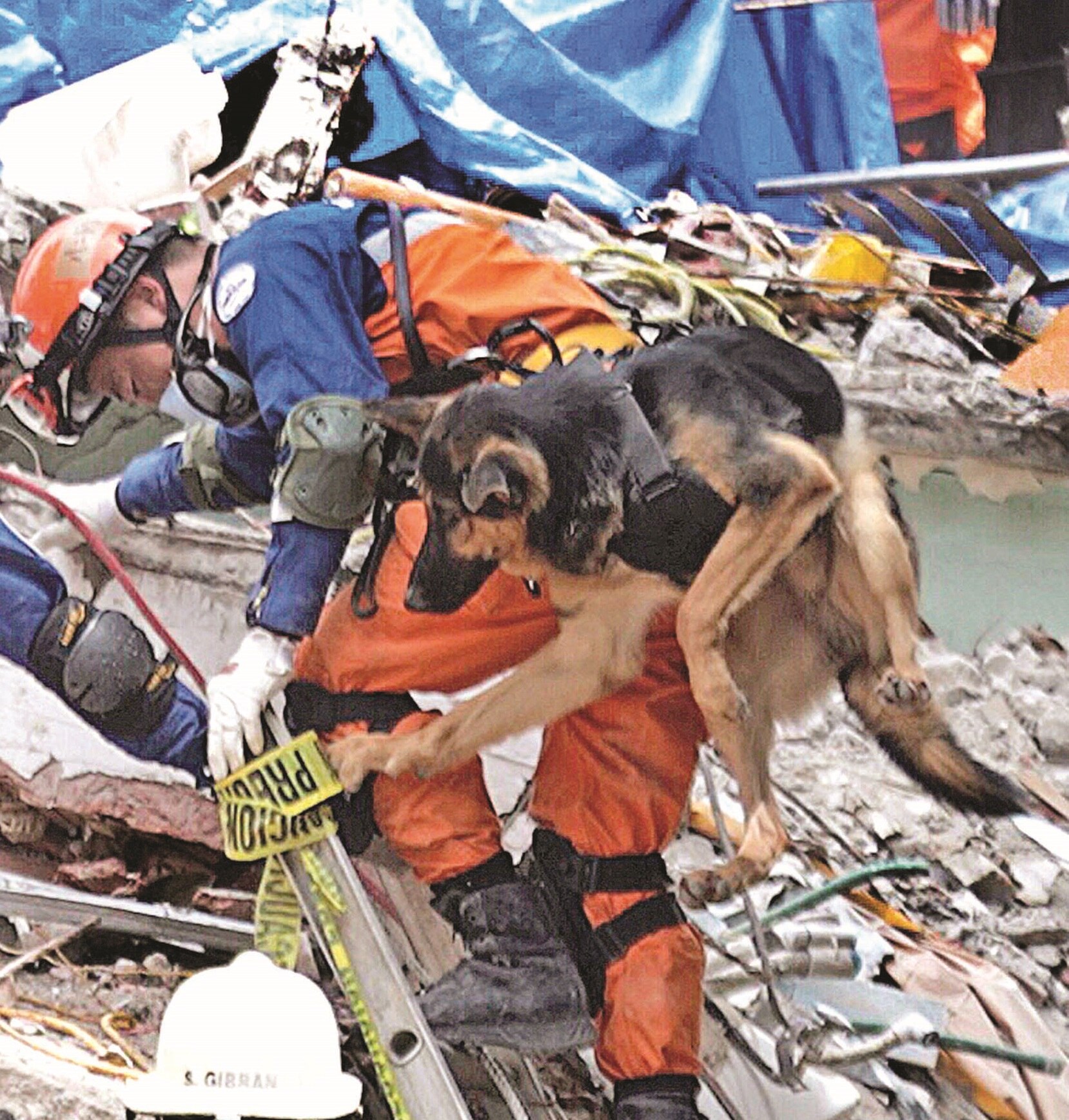 Adversidad del 19-S unió a México y Japón