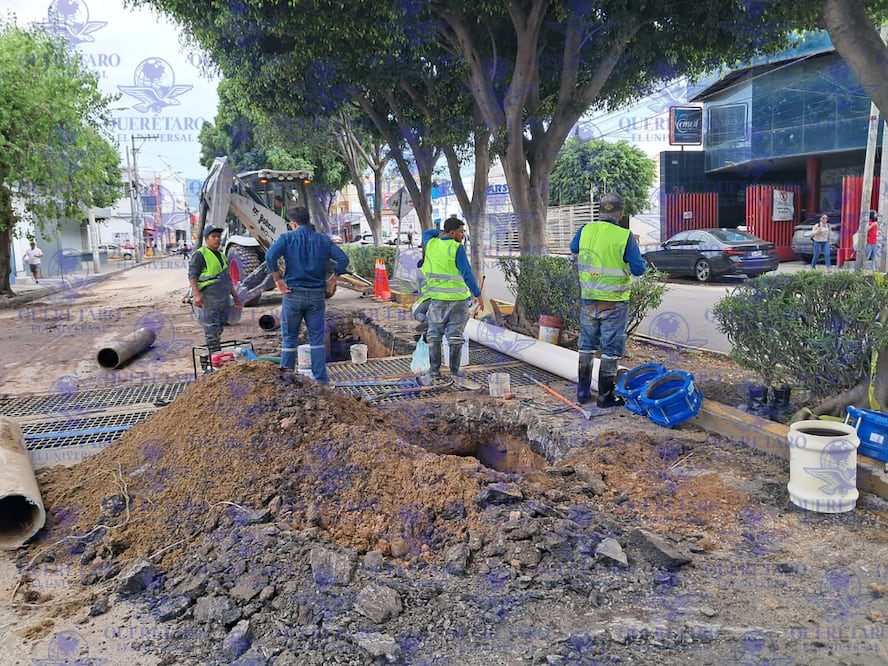 FOTO. VERÓNICA RUIZ