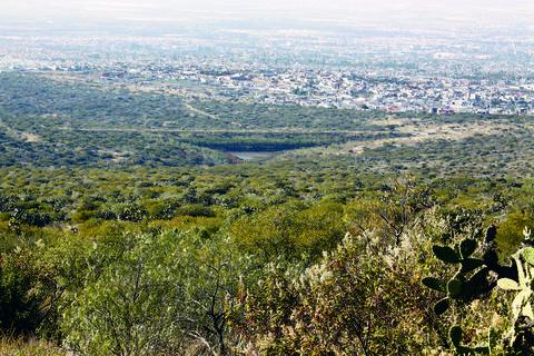 Validan 68 de los 79 proyectos forestales