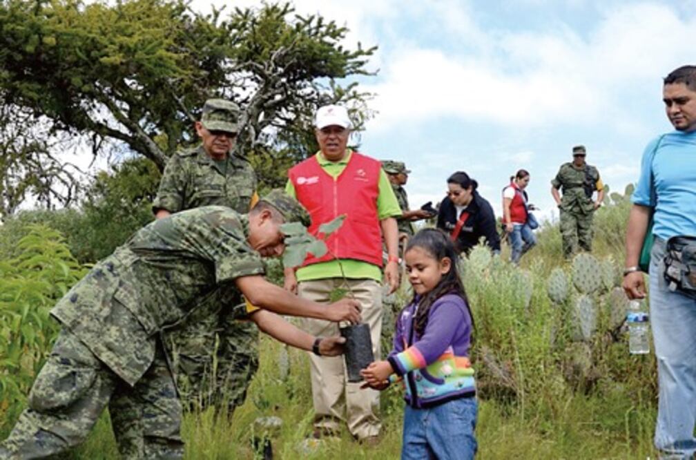 Reforestan el Parque Joya- La Barreta  en Santa Rosa 