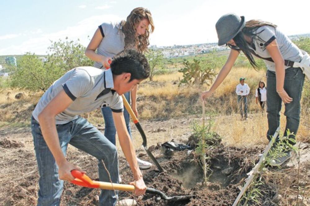 Exhortan a velar por el medio ambiente