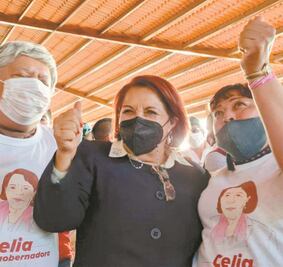 Celia Maya no tendría que buscar la dirigencia de Morena, acusan