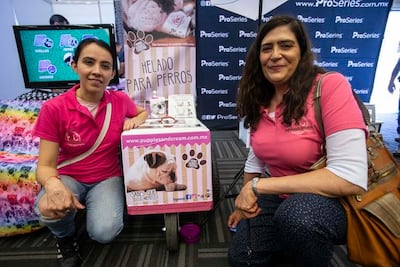 Postre perruno; crean helados para mascotas 