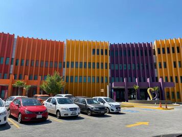 Reactivan en HITO trasplante medular