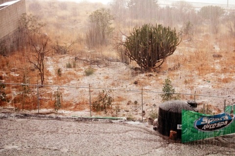 Gestionan apoyos  por un mdp para Colón