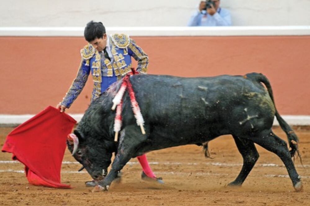 Con maestría y mucho oficio