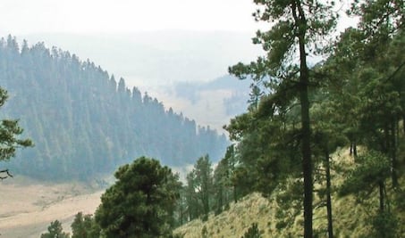 Áreas naturales están más protegidas que nunca, afirman