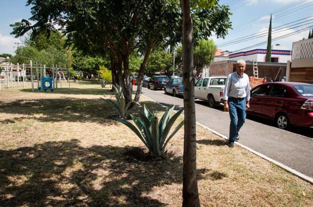Las labores de limpieza en Jurica Campestre y Jurica Pueblo son históricas, afirmó el edil. (ESPECIAL)