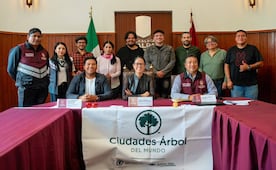 Tlalpan instala Gabinete Verde para proteger arbolado