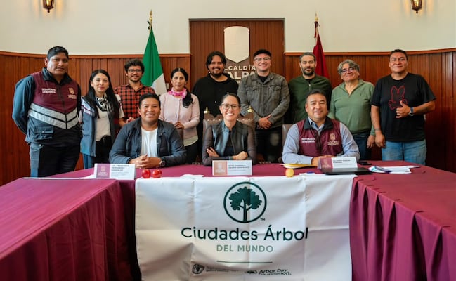 Tlalpan instala Gabinete Verde para proteger arbolado