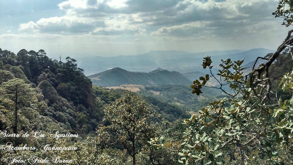 Foto: Facebook Caminero.