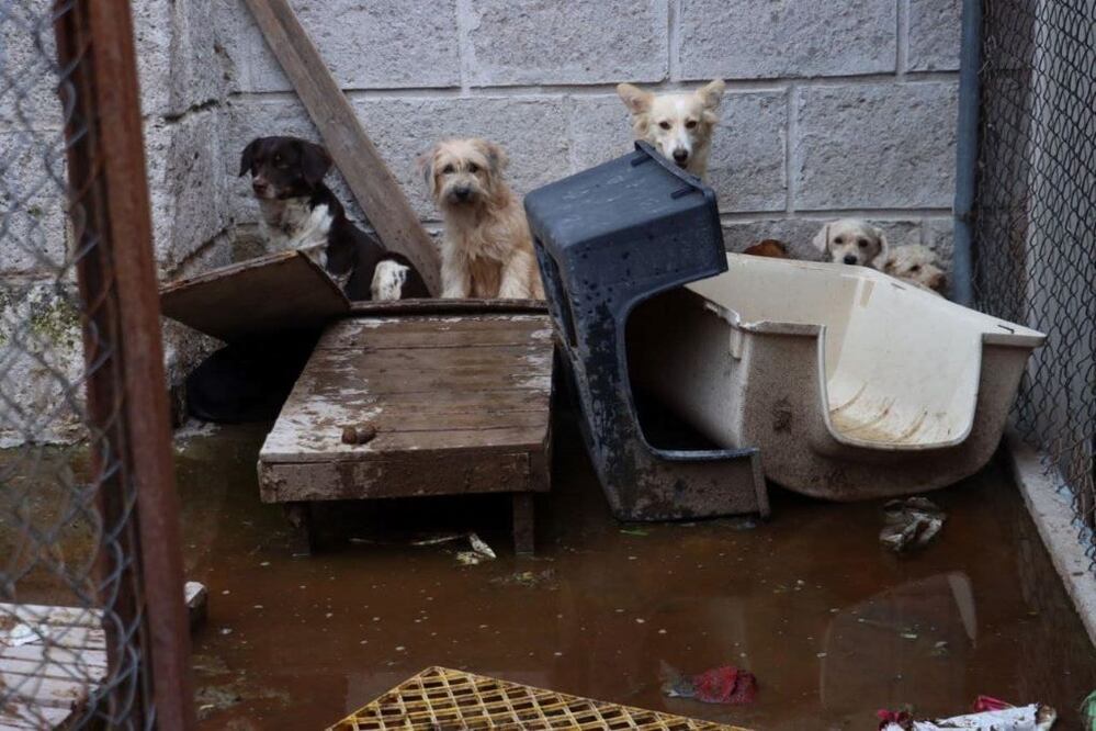 Foto: Facebook Servicios Públicos Municipales de Querétaro