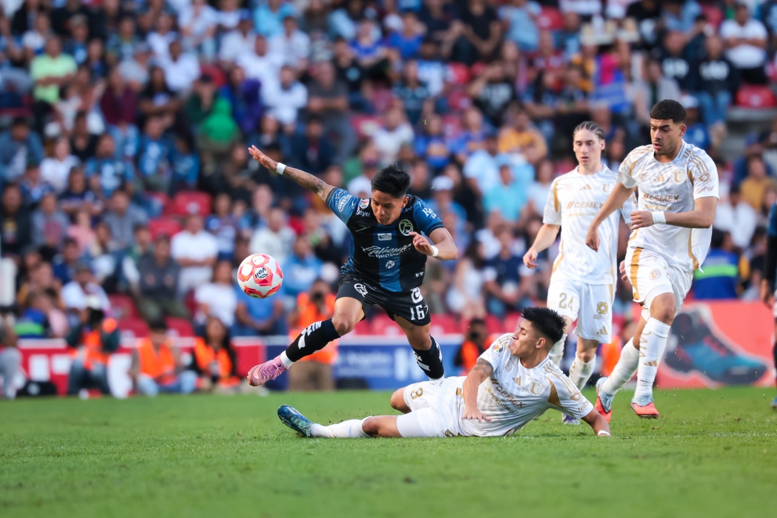 Foto: Cortesía Club Querétaro