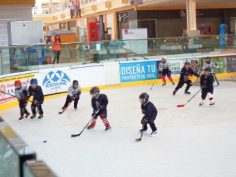 Mapaches acceden a semifinales