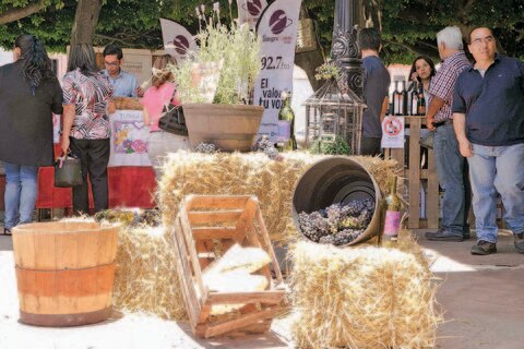 Disfrutan del queso y vino