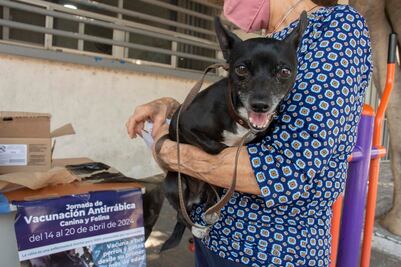 “Nuestro lema es proteger. Y aquí estamos”