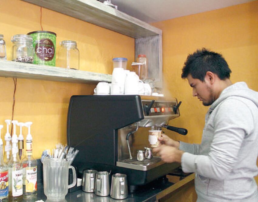 Ganan participación en México