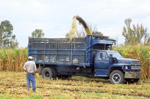 Resaltan benéfico temporal de cosecha