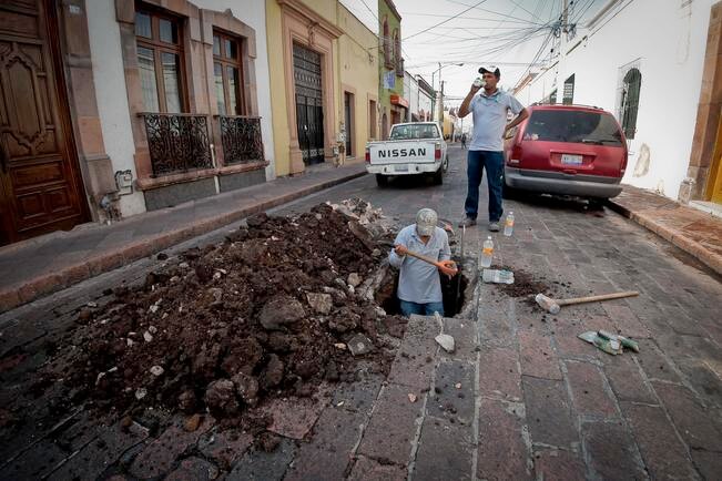 Centro, sin quejas de plagas: delegado