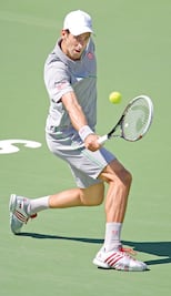 Djokovic se cita con Isner en la semifinal