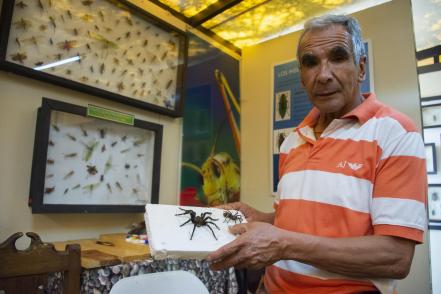Museo de Bichos, cercanía y aprecio a la biodiversidad 