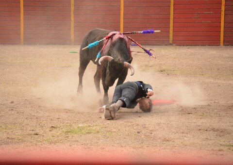 Alta médica para “El Canelo”