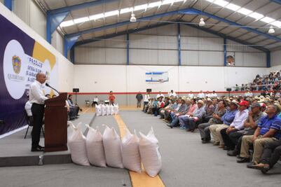 Benefician con semillas de garbanzo a 340 productores