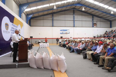 Benefician con semillas de garbanzo a 340 productores