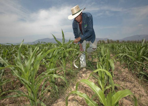 Opinión. Apoyo de todo México