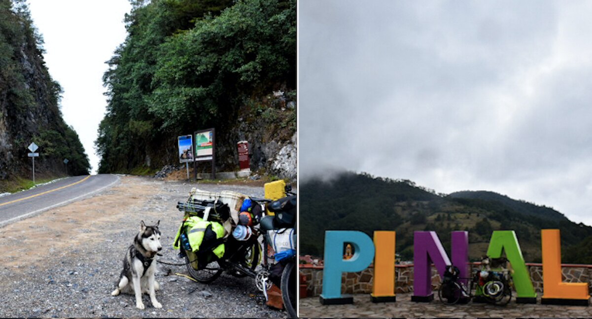 A bordo de bicicleta, Loki, el perrito viajero, llegó a la Sierra Gorda