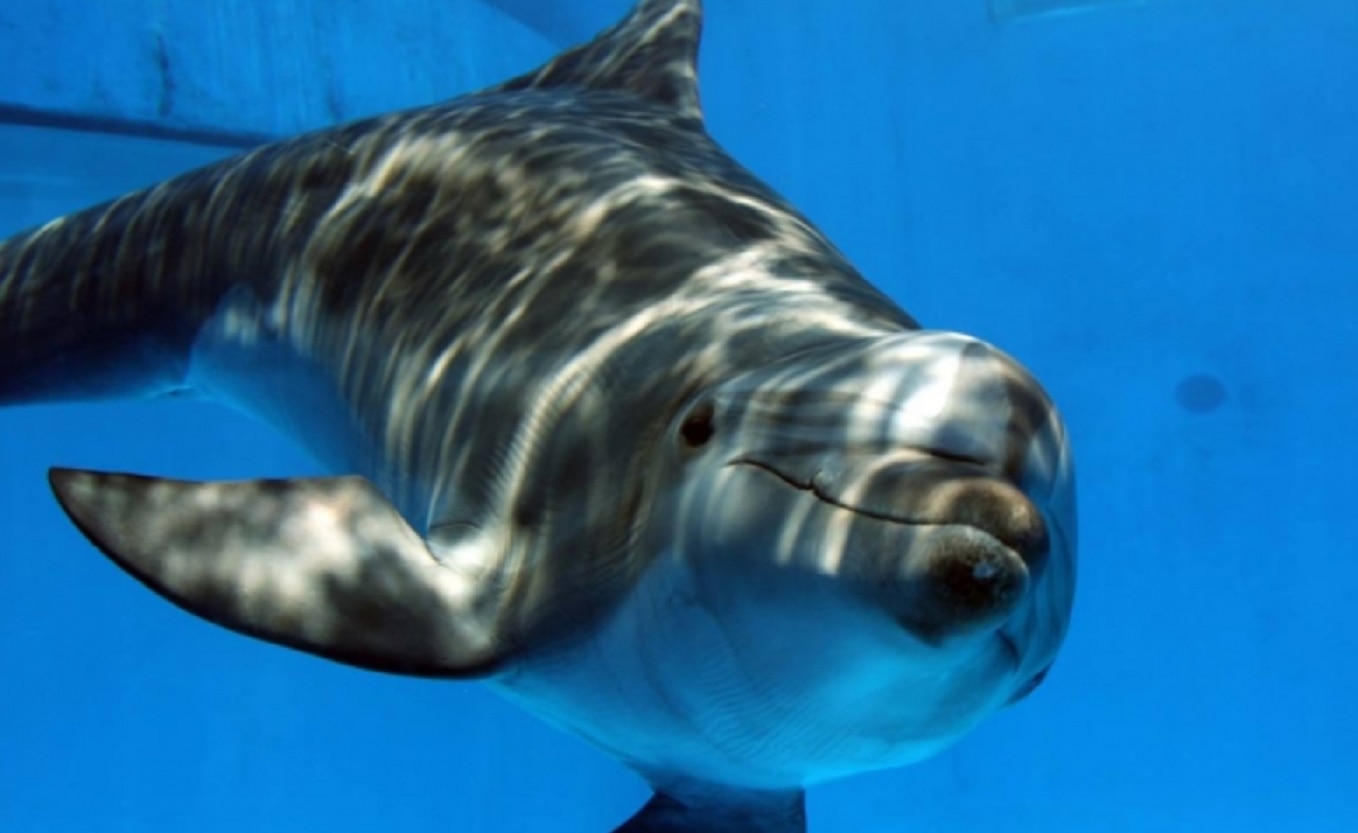 Foto: Archivo. El Universal